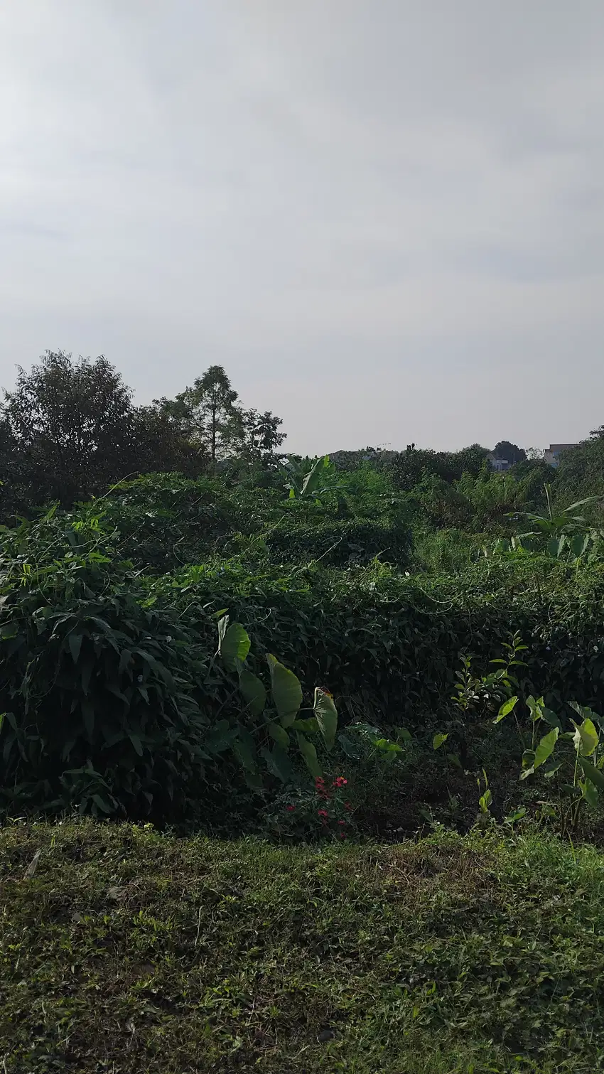 10 Menit Stasiun Bogor Dijual Tanah Kavling Murah Gratis SHM