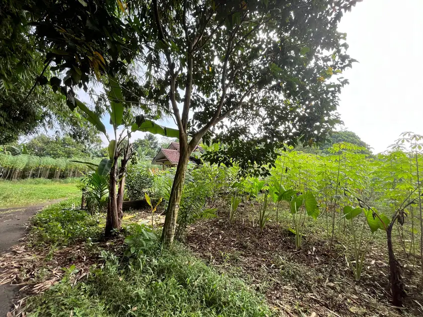 Tanah Murah di Area Berkembang BSD, Kavling Luas Besar Harga Murah