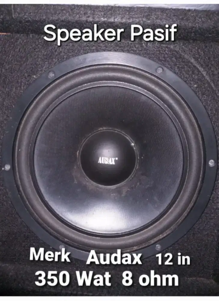 SPEAKER Pasif AUDAX 12 ' in