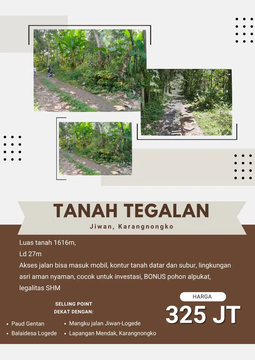TANAH TEGALAN JIWAN, KARANGNONGKO BONUS POHON ALPUKAT