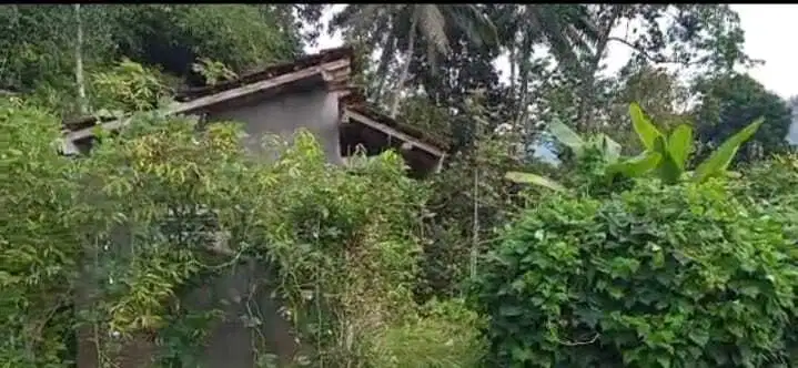 JUAL TANAH DI GIRIPURWO GIRIMULYO KULONPROGO