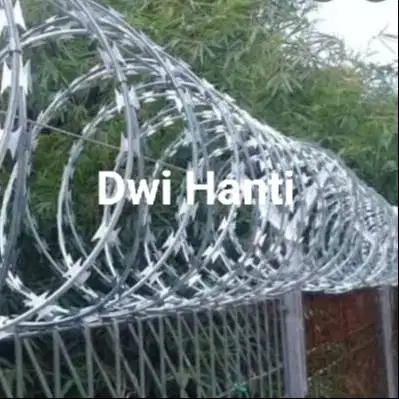 Jual Razor Wire