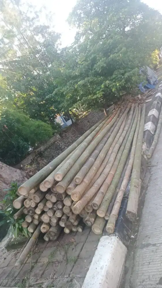 Jual bambu 8/9 dan papan 2x20