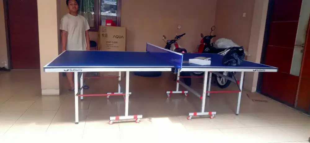 PINGPONG BUTTERFLY TERBAIK & COD