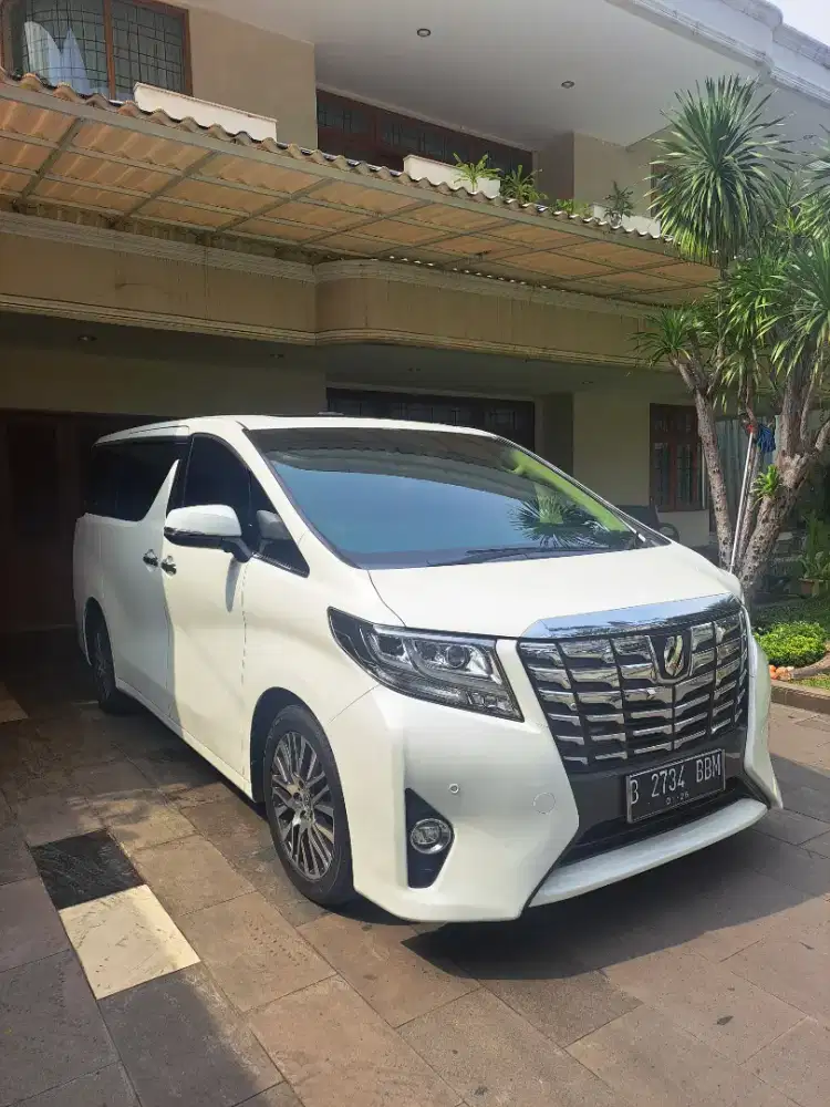Alphard 2.4G ATPM