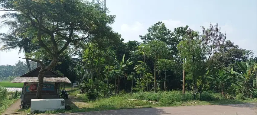 Dijual: Tanah Strategis Siap Bangun – Ideal untuk Rumah Toko/Investasi