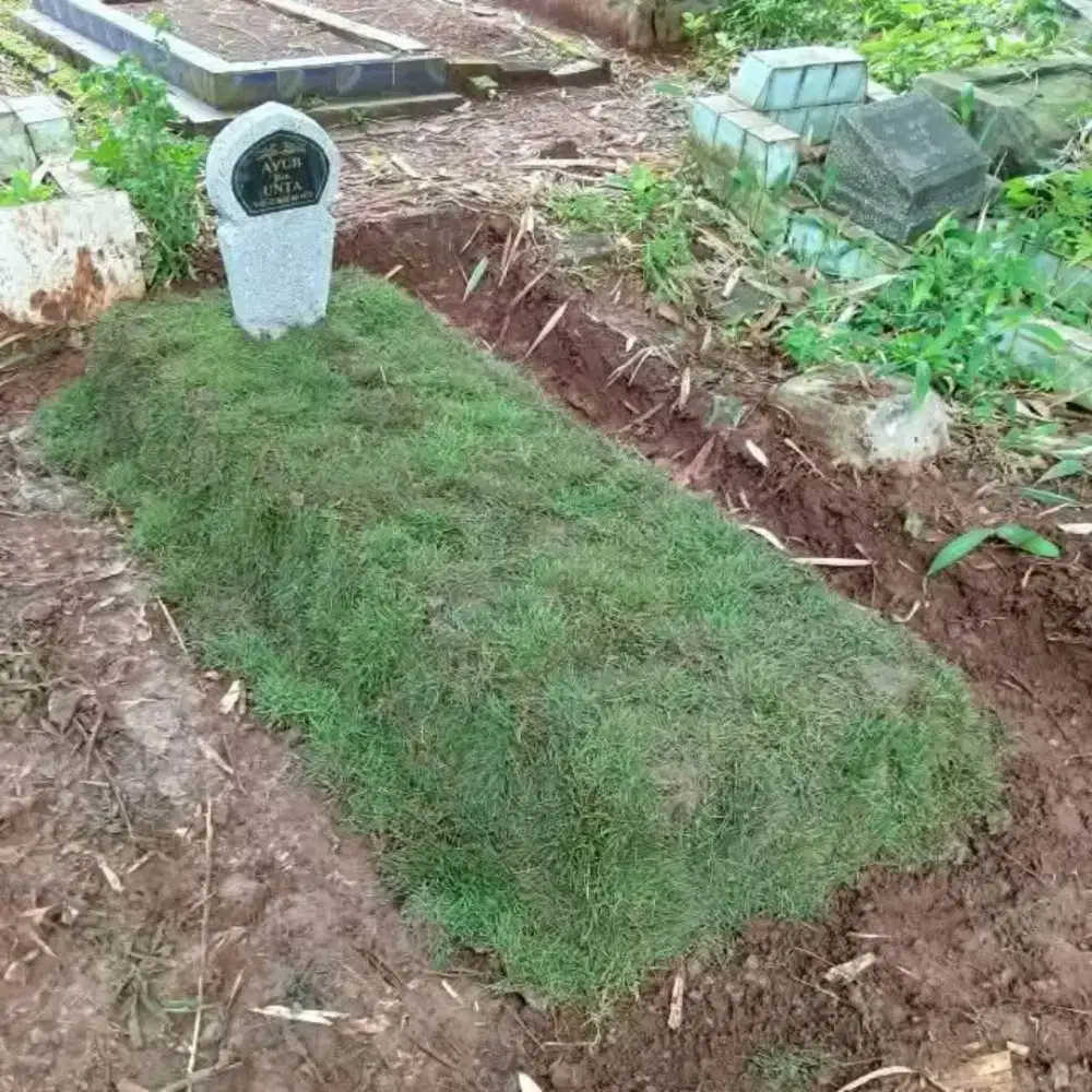 Pasang rumput makam dan taman