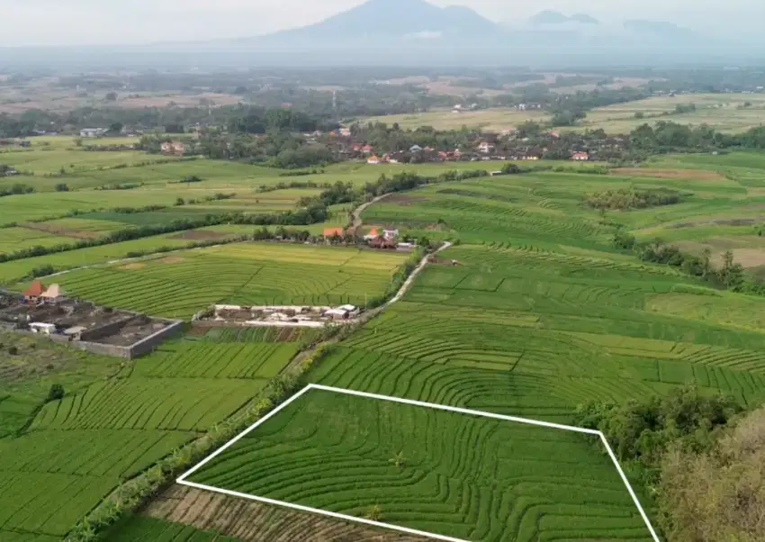 Freehold 60 Are Land Tabanan
