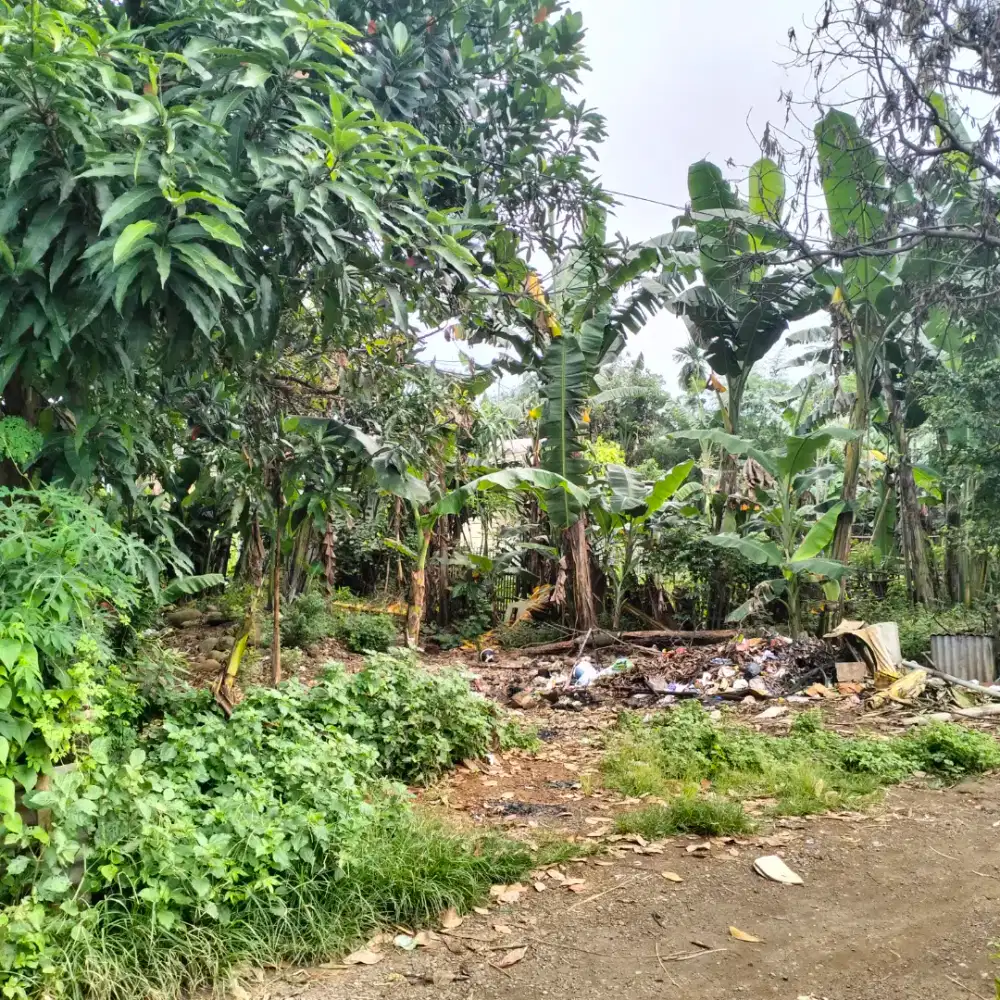 jual murah sebigang tanah di sekitar antang dalam kota