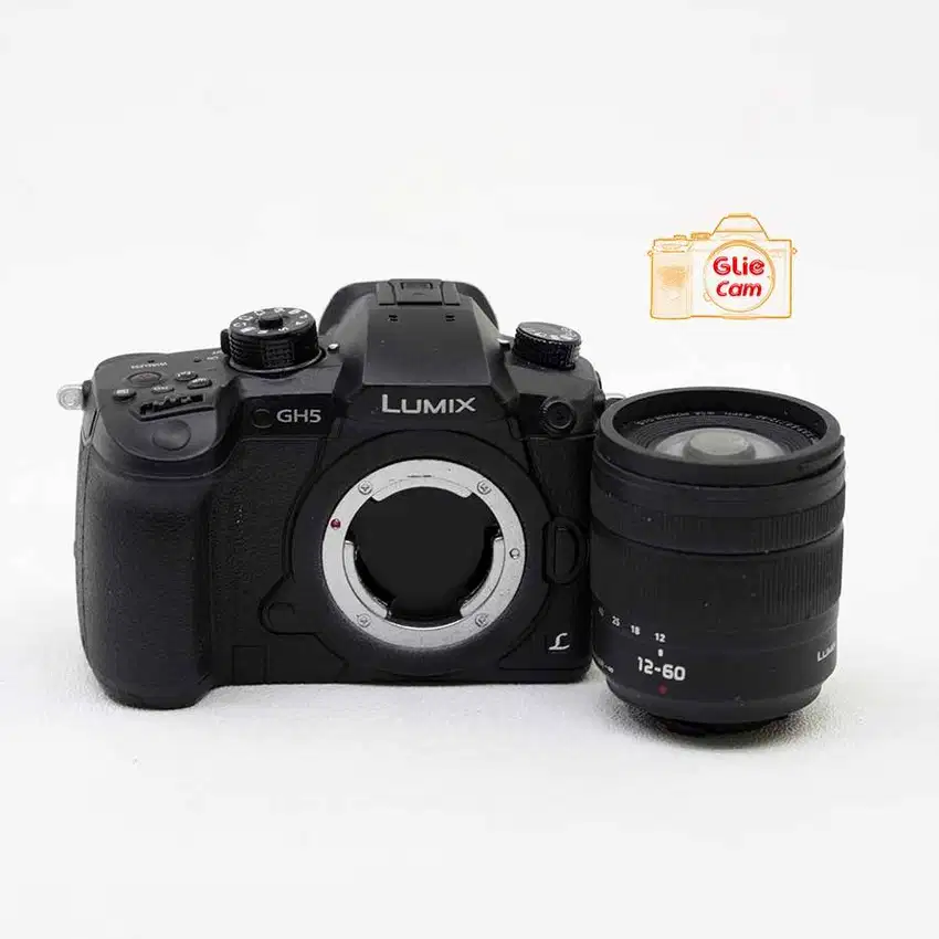 Gantungan Kunci Kamera Lumix GH5 Kit 12-60mm