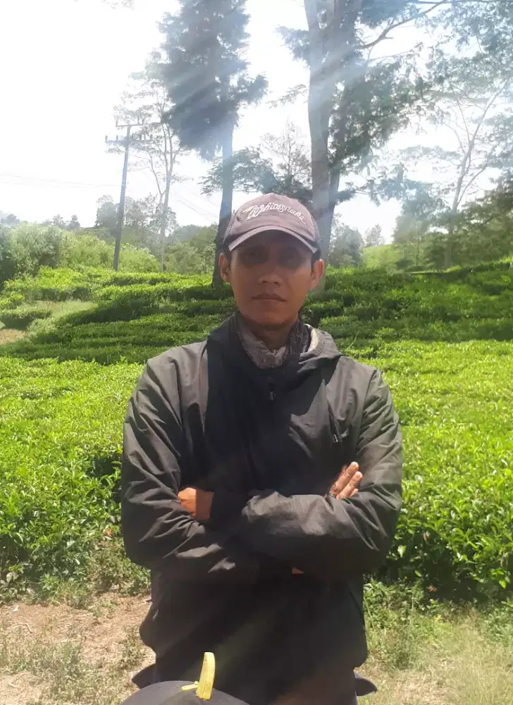 Mencari pekerjaan apa saja