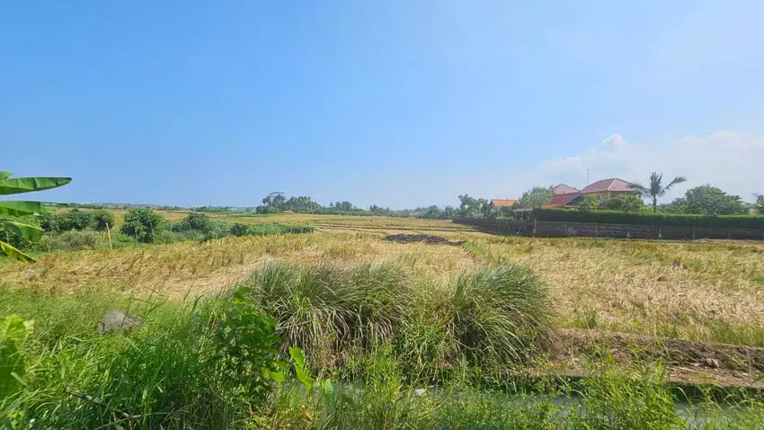 tanah komersil lokasi tibu biu pasut tabanan Lingkungan villa