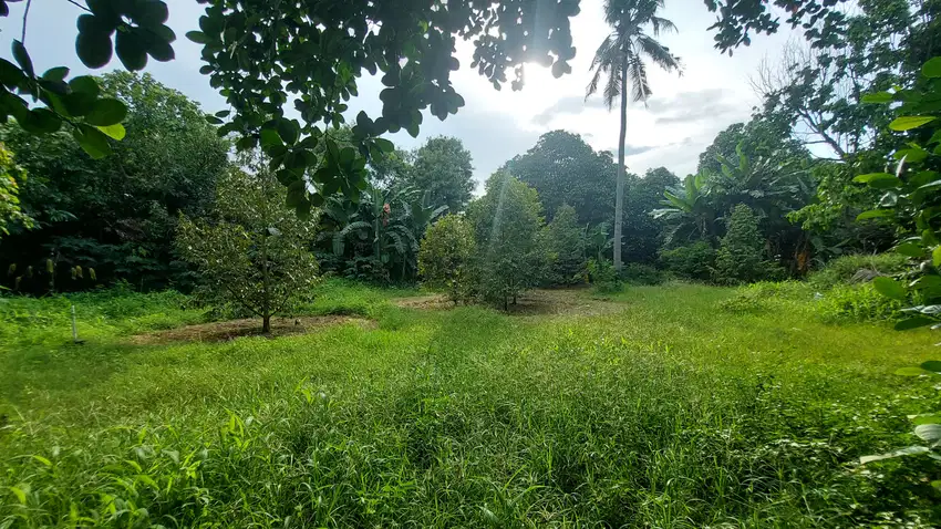 Tanah strategis Larangan Ciledug cocok untuk Cluster, sekolah dll