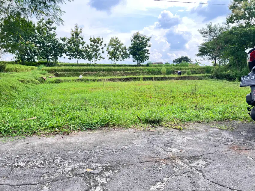 Tanah Datar 250 Juta Dekat Aliran Sungai Karanganyar