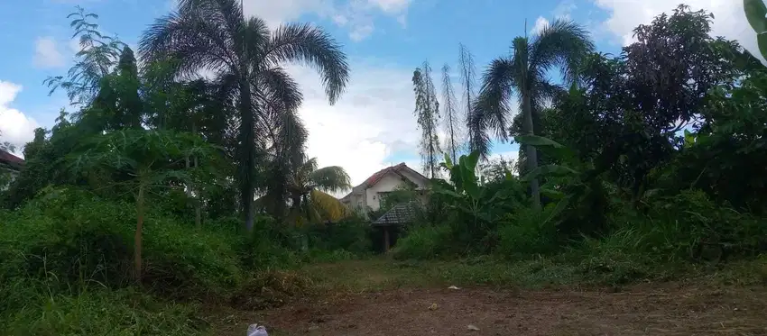 Tanah Kavling Di Jual Murah Dekat Dengan Kampus IPB Bogor