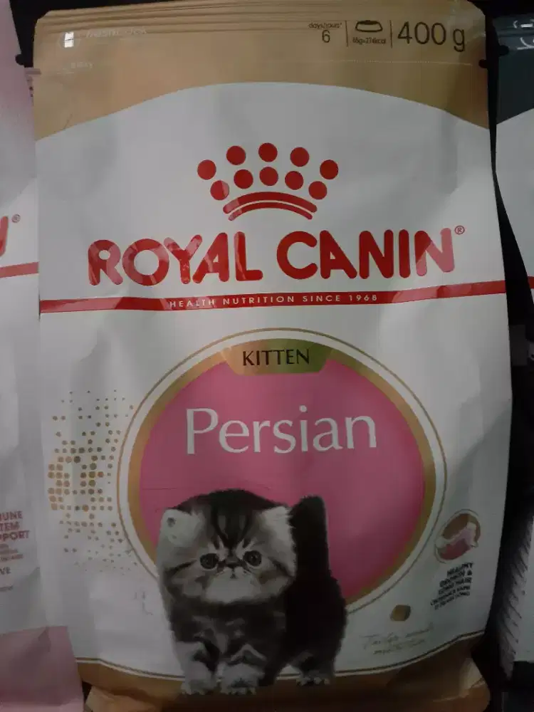 Makanan kucing Royal Canin Kitten Persia 2 Kg