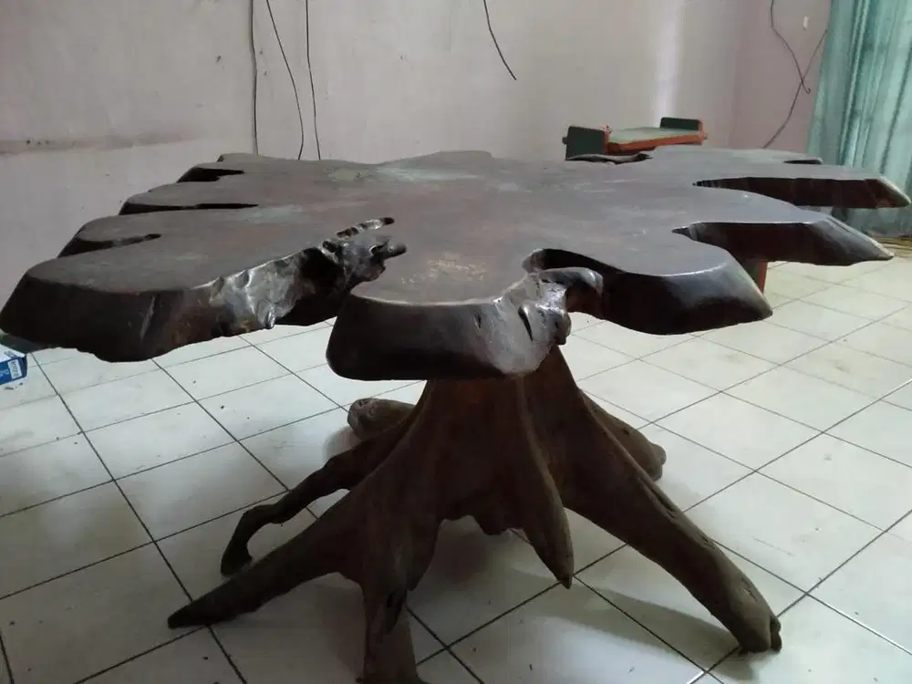 Meja Akar Kayu Mahoni