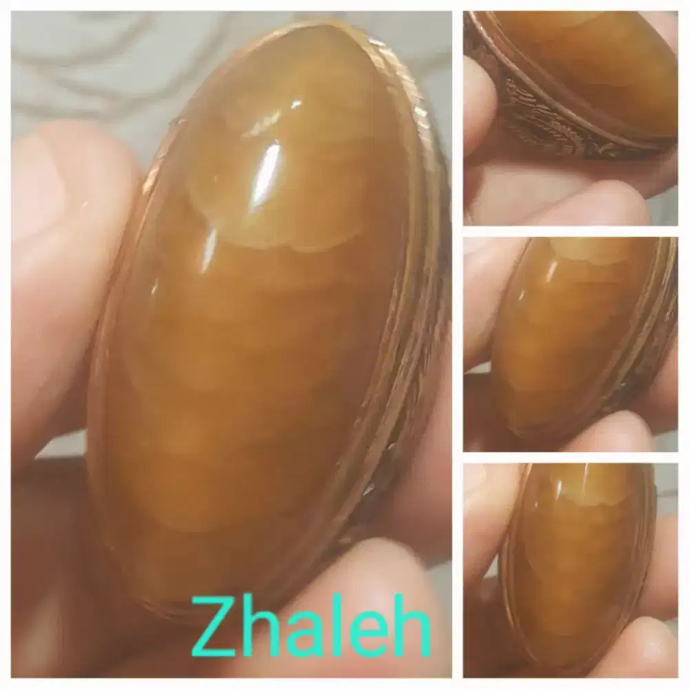 Pandan nanas betok lumut