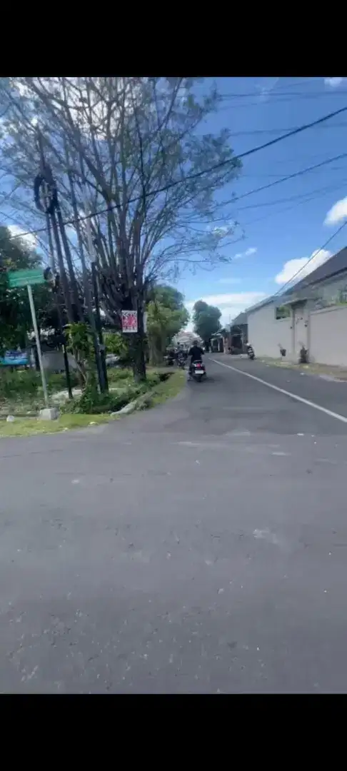 Disewakan tanah 18 are di punggir jalan kusuma bangsa 1 ubung denpasar