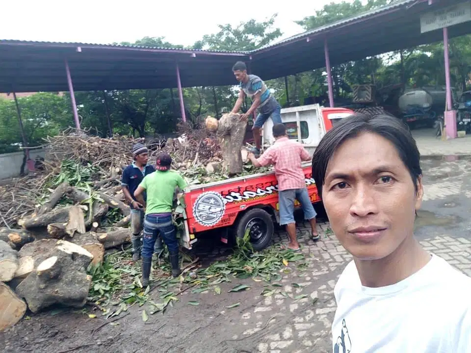 potong pohon daerah rungkut kenjeran molyosari perak rewid
