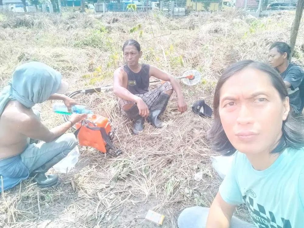 potong rumput lahan kosong pakai mesin