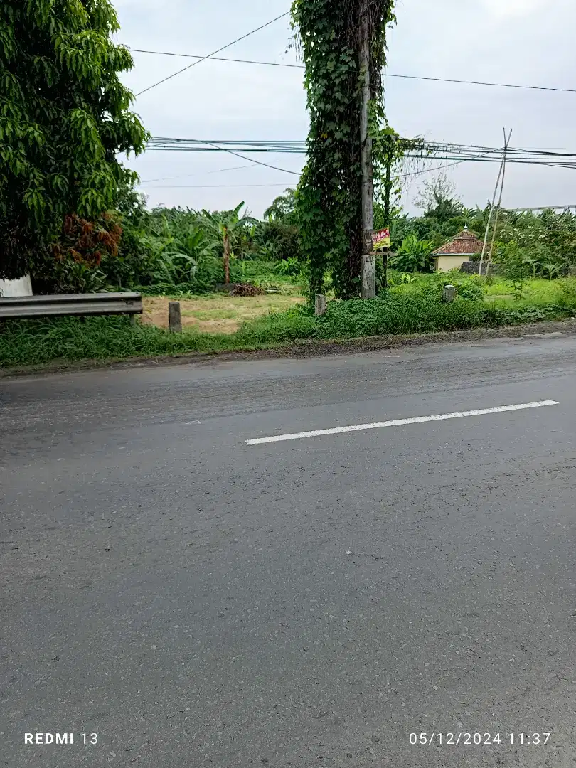 Jual murah tanah jalan Ry Cepiring Kendal 1880m² cuma 1,5jt/m²