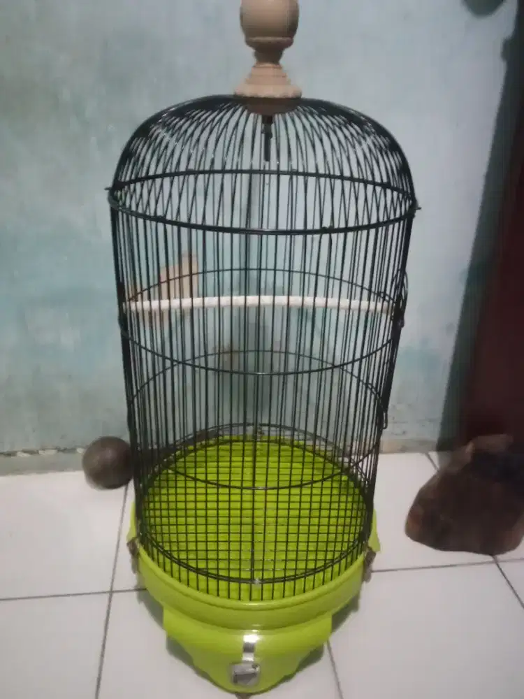 Jual merk kapulaga