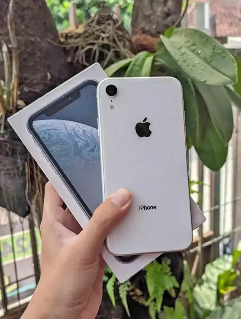 iPhone Xr 64GB inter Muluss