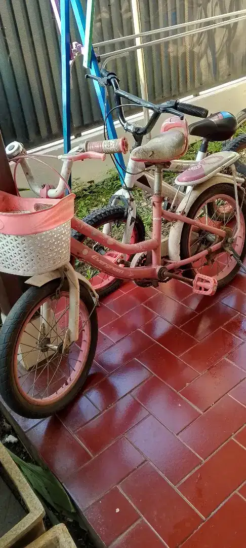 JUAL CEPAT 2 SEPEDA CUMA 500K!