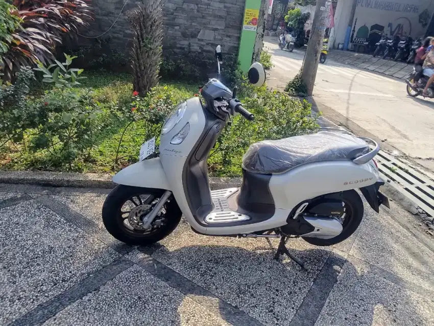 Honda Scoopy prestige thn 2024