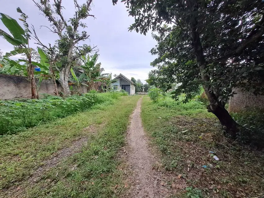 DIJUAL CEPAT TANAH RAWA KALONG  GUNUNG SINDUR