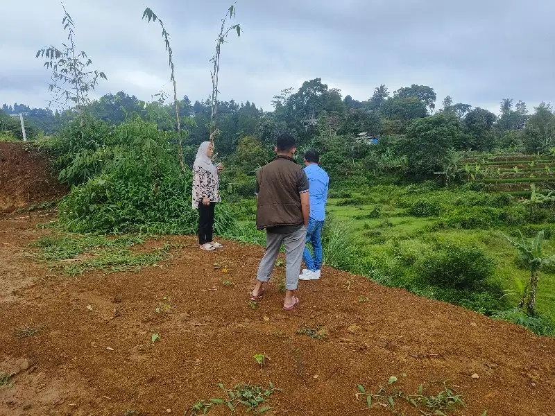 Tanah Murah SHM luas 522 m2 puncak bogor