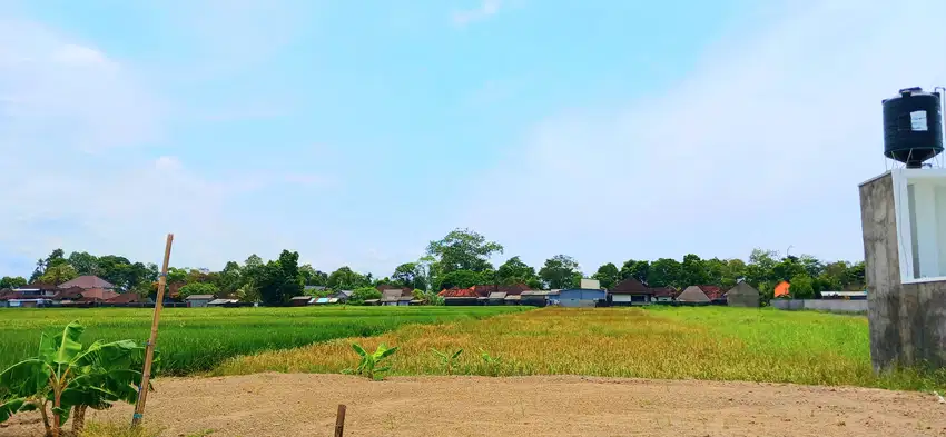 Dijual tanah 1975 m2 di Kelating Kerambitan Tabanan dkt Soori Bali
