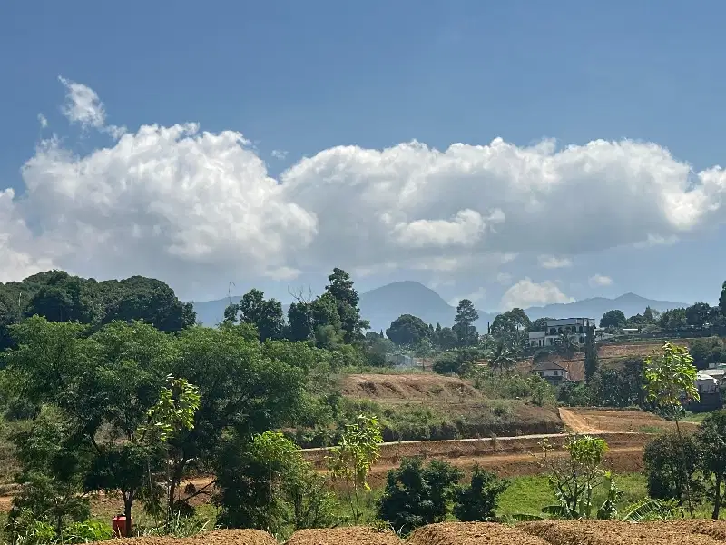 Tanah dijual cepat luas 10.000m2 di puncak, 900mdpl