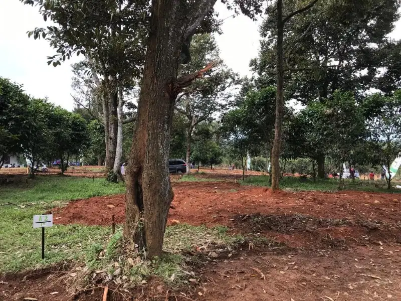 JUAL TANAH KAVLING VILLA DEKAT IBUKOTA