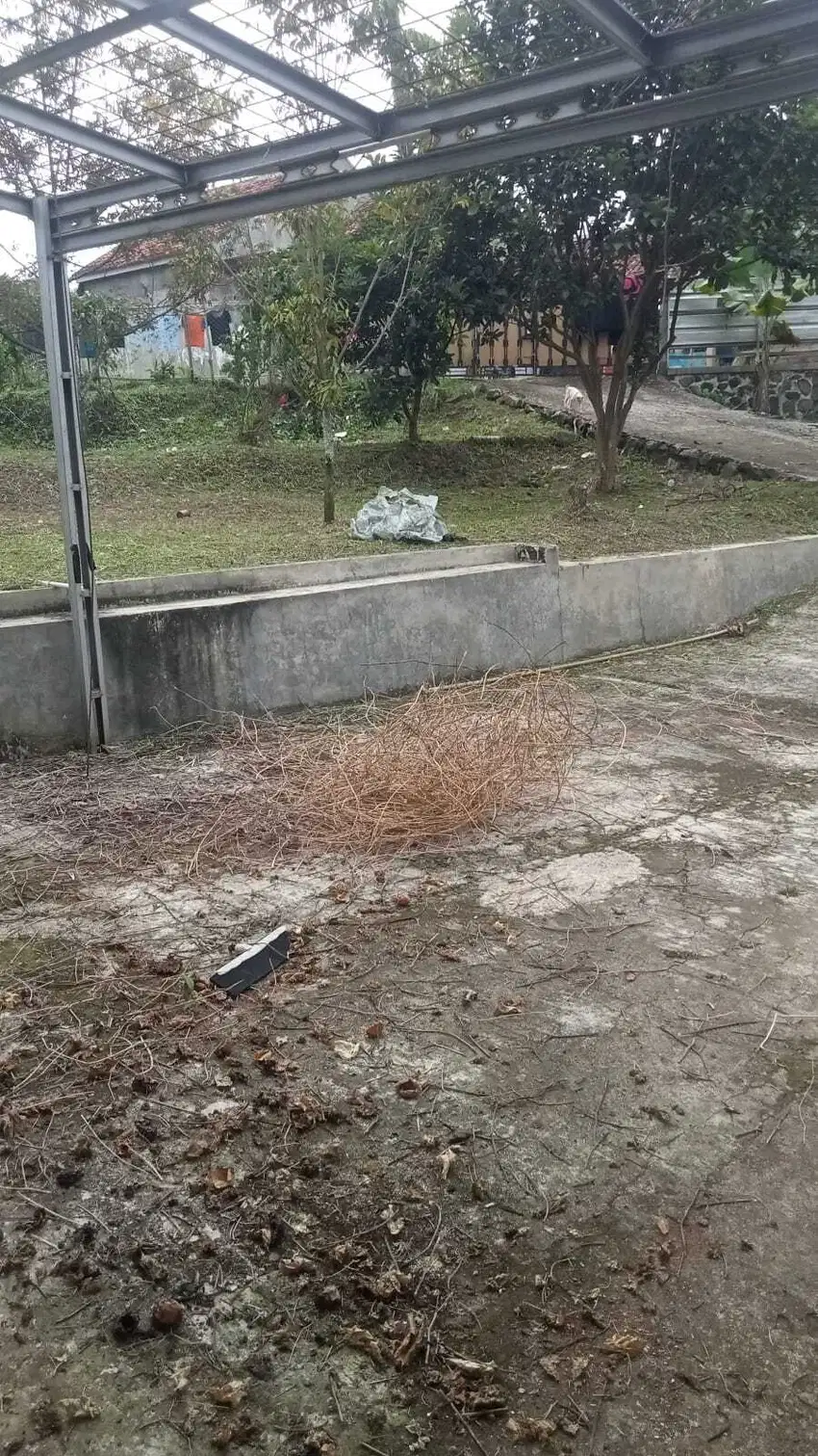 Villa + kebun dan kolam