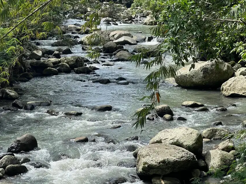 Di jual tanah kebun Los sungai cantik di tabanan bali