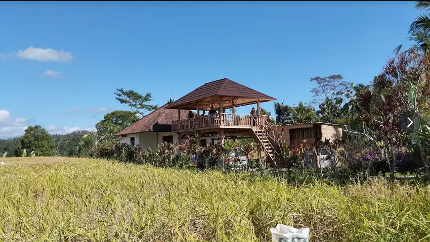 Tanah kavling kebun durian penebel Tabanan