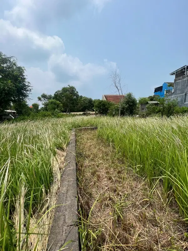 cocok di bngun villa pribadi atau rumah