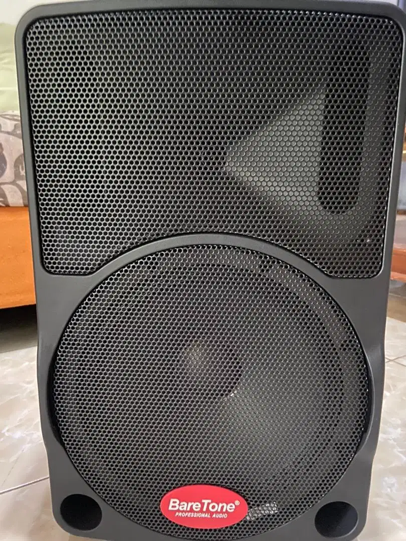 BareTone type  max10c speaker karoke