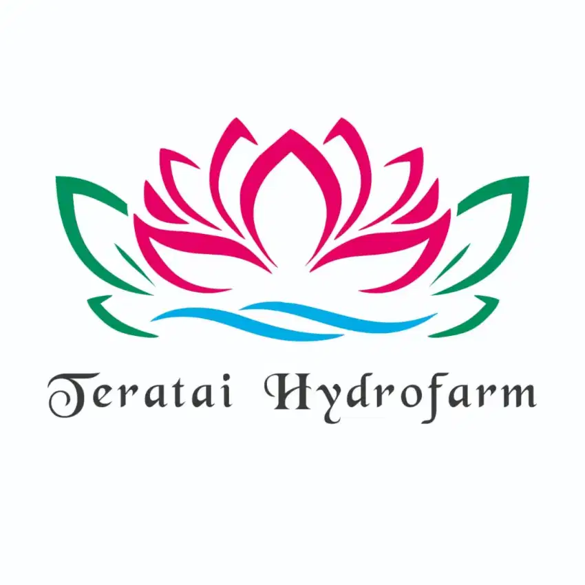 Pekerjaan ahli dibidang hidroponik sistem NFT