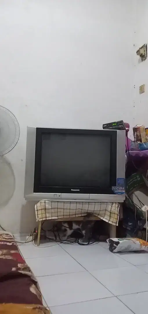 TV PANASONIC 29in & STB LUBBY