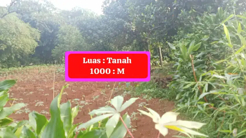 DI JUAL CEPAT TANAH HARGA MURAH