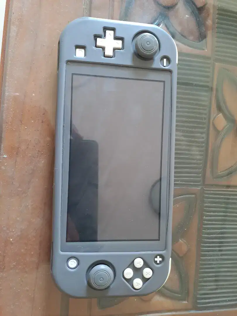 Nintendo Switch Lite 256 Gb Dual Boot