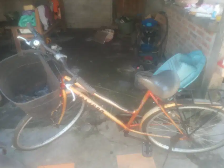 Dijual sepeda bekas minus sedel e bolong.bel e mati