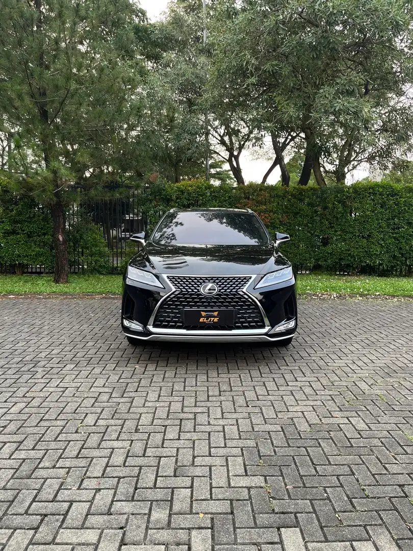 Lexus RX 300 Luxury 2020 Service Record Lexus RX300