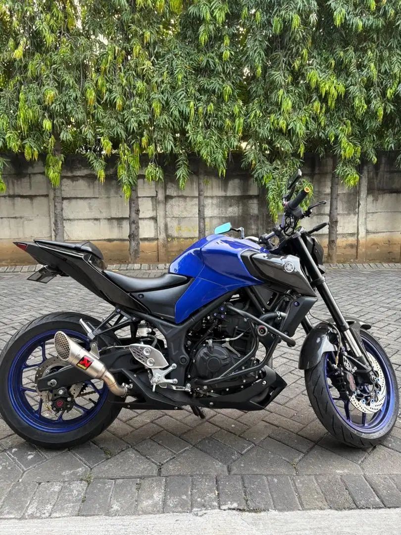 Yamaha MT 25 2021