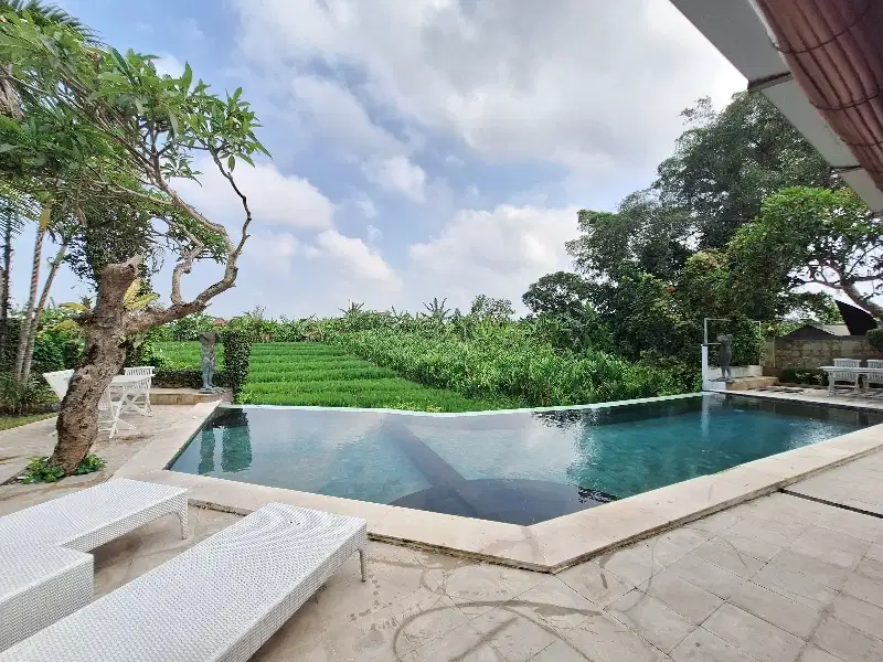 Tropis  dan Rice Field View Villa  di Berawa Tibubeneng