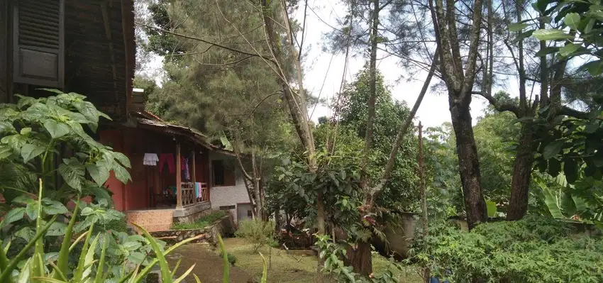 Rumah Joglo Antik Dago Bandung Cocok Untuk Cafe kosan, Rumah tinggal