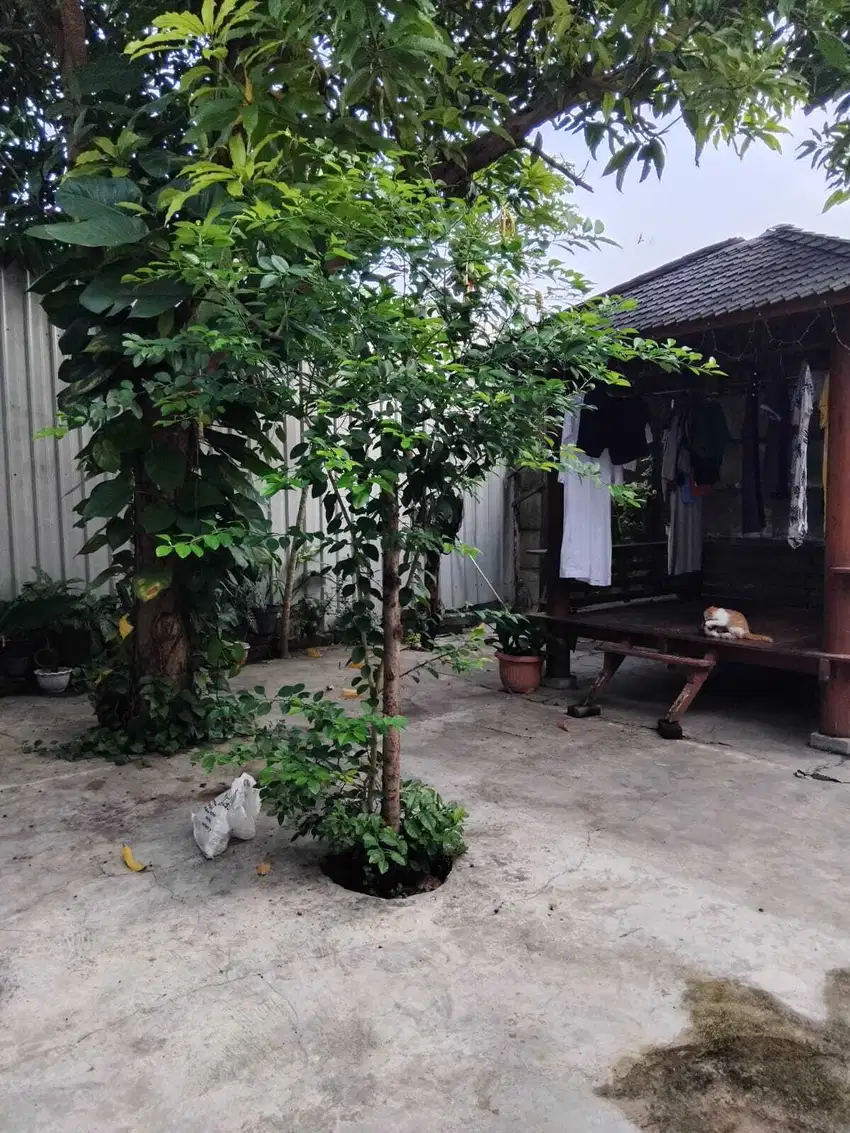 Perumahan Western Regency Raya Sememi Jaya Surabaya Barat SHM IMB